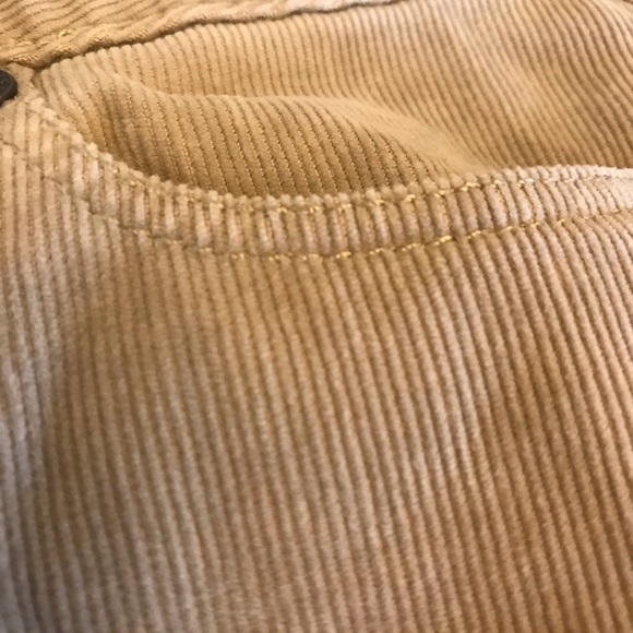 Talbots Tan/Brown Boot Pants - Picture 5 of 7